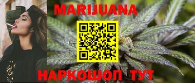 крисы Аргун
