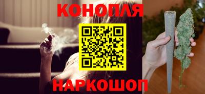 крисы Аргун