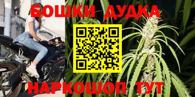 крисы Аргун